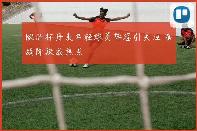 欧洲杯丹麦年轻球员阵容引关注 备战阶段成焦点