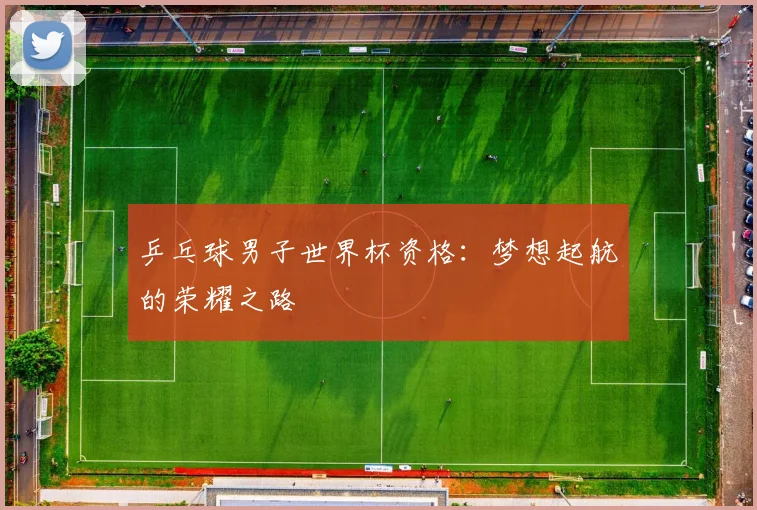 乒乓球男子世界杯资格:梦想起航的荣耀之路