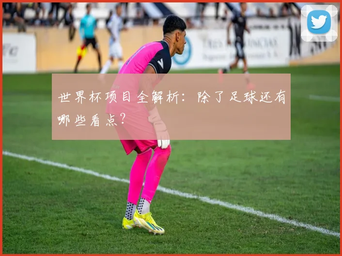 世界杯项目全解析:除了足球还有哪些看点?