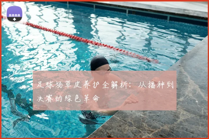 足球场草皮养护全解析:从播种到决赛的绿色革命