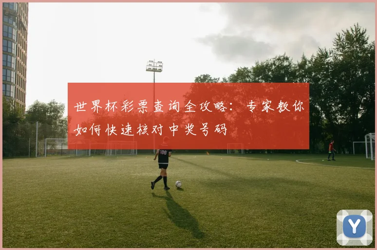 世界杯彩票查询全攻略：专家教你如何快速核对中奖号码