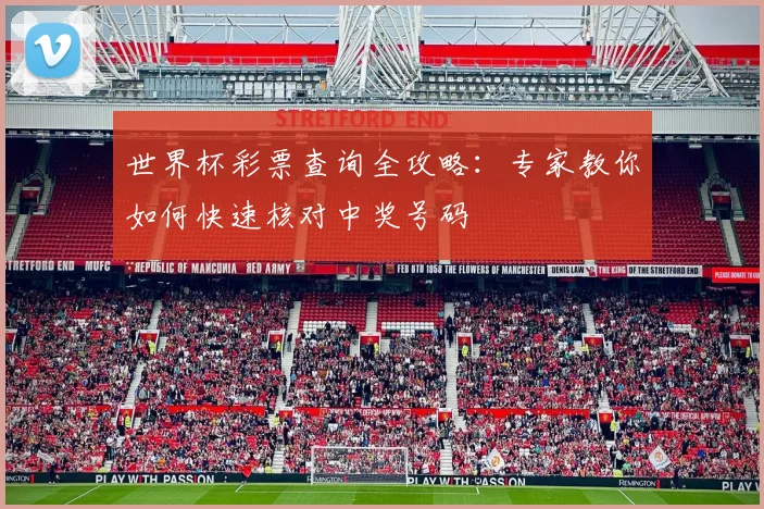 世界杯彩票查询全攻略:专家教你如何快速核对中奖号码