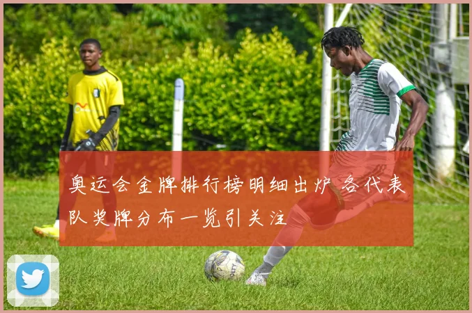 奥运会金牌排行榜明细出炉 各代表队奖牌分布一览引关注
