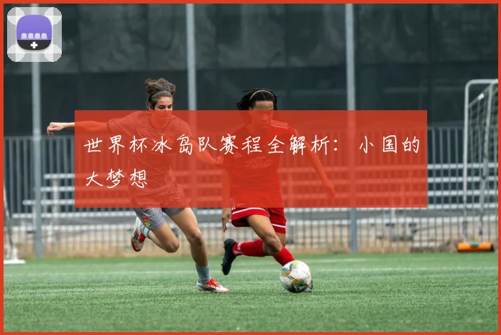 世界杯冰岛队赛程全解析:小国的大梦想