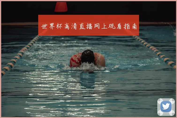 世界杯高清直播网上观看指南