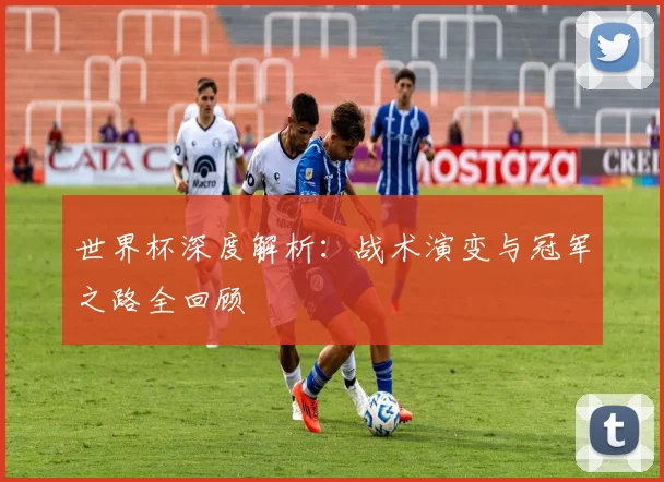 世界杯深度解析:战术演变与冠军之路全回顾