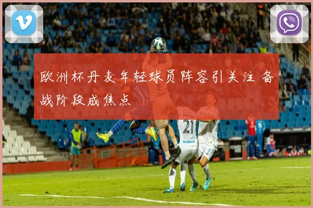 欧洲杯丹麦年轻球员阵容引关注 备战阶段成焦点