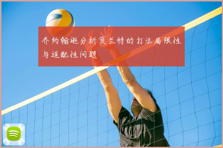 乔约翰逊分析莫兰特的打法局限性与适配性问题